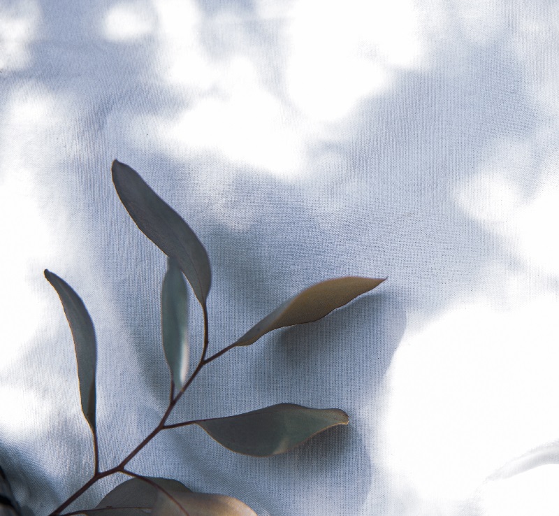 ホームページがリニューアルしました。